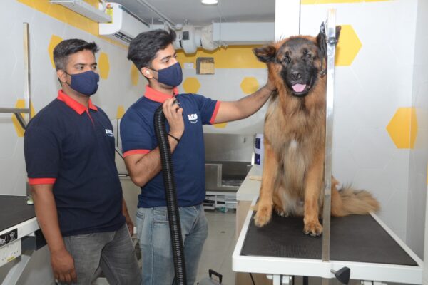 Zigly celebrates 2nd Anniversary, plans to expand in Tier 2 cities for pet care