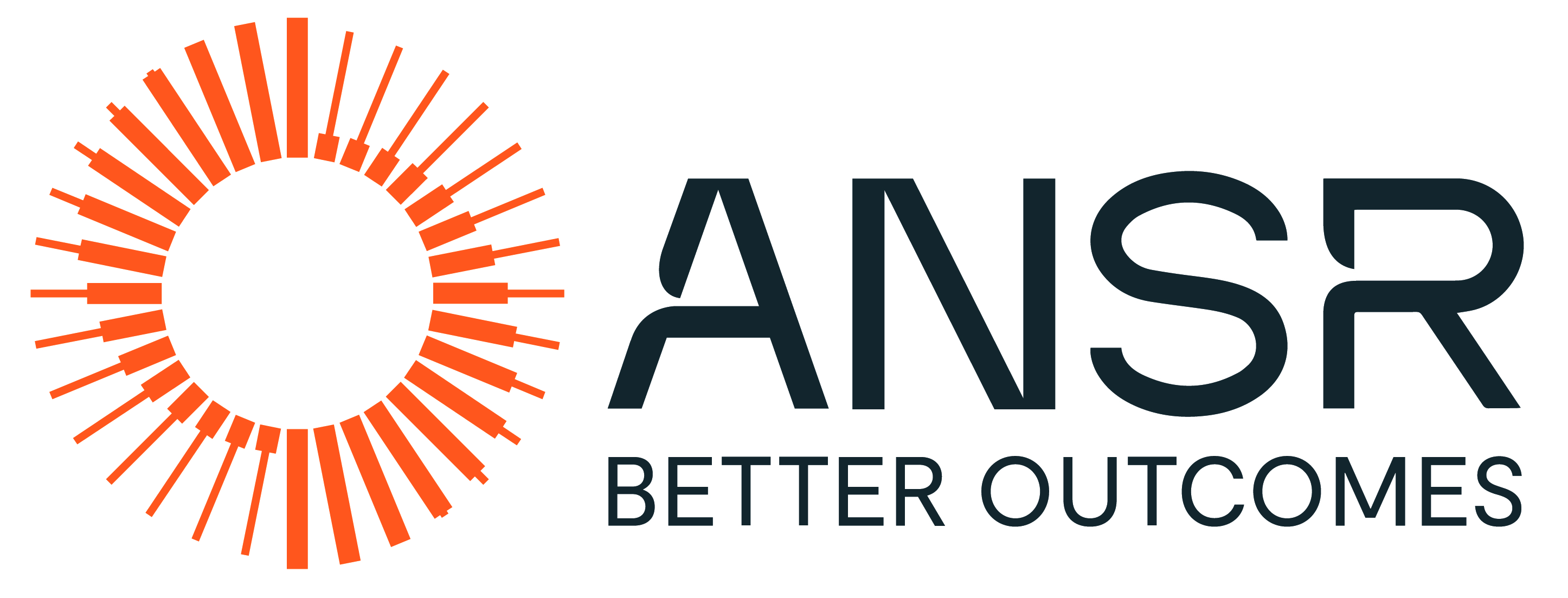 ANSR Appoints Kirk Ball as Group Chief Information Officer