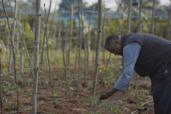British International Investment and Symbiotics strengthen partnership with launch of second Green Basket Bond in India