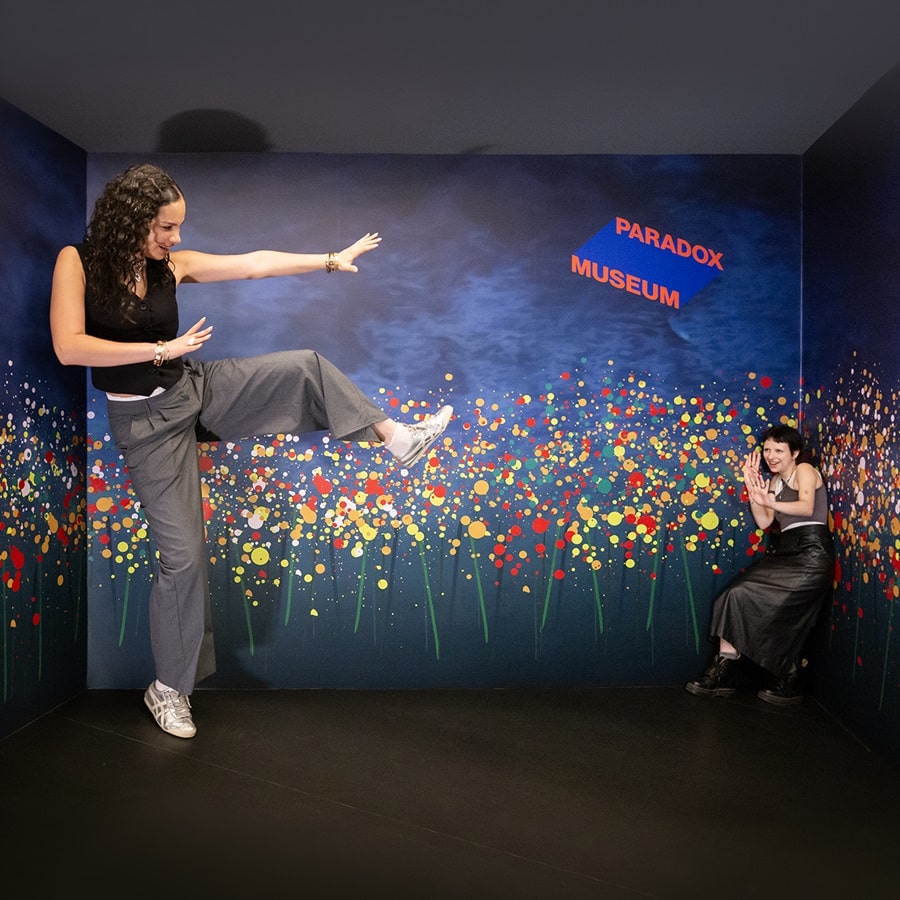 Paradox Museum launch in Mumbai