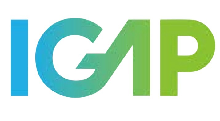 IGAP Releases Comprehensive Report on Social Media Transparency and Compliance